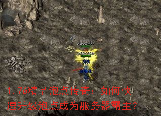 1.76��Ʒ�ݵ㴫�棺��ο��������ݵ��Ϊ������������