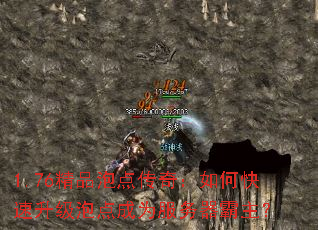 1.76精品泡点传奇:如何快速升级泡点成为服务器霸主? 1.76精品泡点传奇:如何快速升级泡点成为服务器霸主?