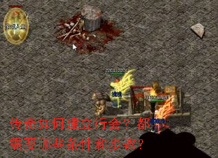 ������ν����л᣿����Ҫ��Щ�����Ͳ��裿