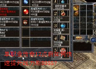��ְҵ����12�����ο�������ս��ˢBOSS��
