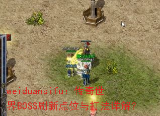 weiduansifu����������BOSSˢ�µ�λ�����⣿