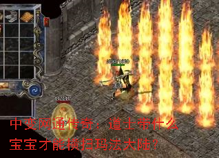 中变网通传奇:道士带什么宝宝才能横扫玛法大陆? 中变网通传奇:道士带什么宝宝才能横扫玛法大陆?