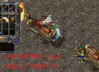 SF���������ң����˿������ֹ�������