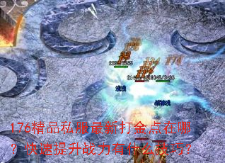 176��Ʒ˽�����´������ģ���������ս����ʲô���ɣ�