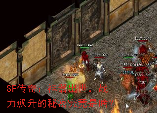 SF���棺����������ս����������ܾ�����ɶ��