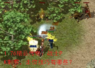 1.76��Ʒ���棺սʿPK�̿ͣ���λ��������Щ��