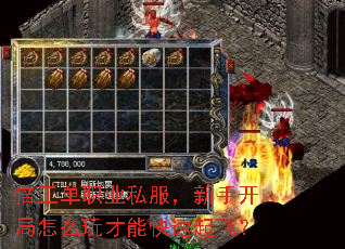 ������ְҵ˽�������ֿ�����ô����ܿ�����ɣ�