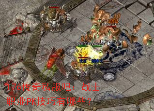 176����˽���ɣ�սʿְҵPK��������Щ��