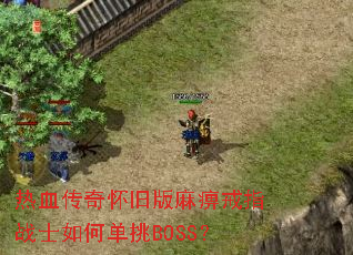��Ѫ���滳�ɰ���Խ�ָսʿ��ε���BOSS��