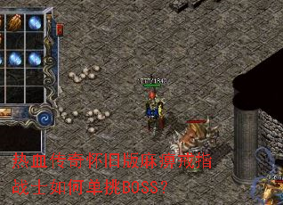 ��Ѫ���滳�ɰ���Խ�ָսʿ��ε���BOSS��