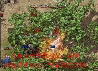 1.76���Ŵ����Ʒ����ο�������ս�����ư��귨��½��