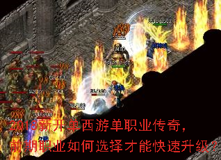 2018�¿������ε�ְҵ���棬ǰ��ְҵ���ѡ����ܿ���������