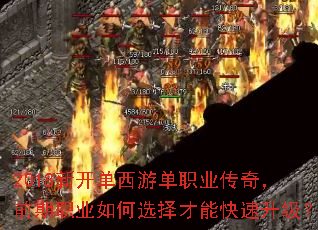 2018�¿������ε�ְҵ���棬ǰ��ְҵ���ѡ����ܿ���������
