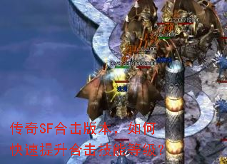 ����SF�ϻ��汾����ο��������ϻ����ܵȼ���