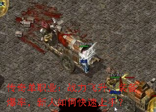 ���浥ְҵ��ս��������װ�����ʣ�������ο������֣�