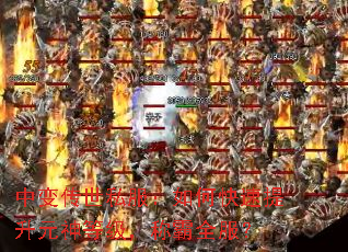 �б䴫��˽������ο�������Ԫ��ȼ����ư�ȫ����