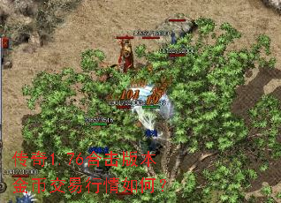 ����1.76�ϻ��汾��ҽ���������Σ�