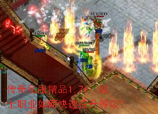 ����˽����Ʒ1.76��սʿְҵ��ο��������ȼ���