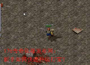 176传奇私服发布网:新手如何快速升级打宝? 176传奇私服发布网:新手如何快速升级打宝?