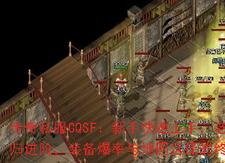 ����˽��CQSF�����ֿ������֣�����һع���ף�װ���������ͼѡ����ռ����ʣ�