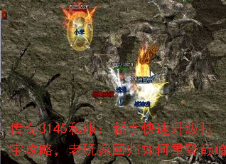 ����3145˽�������ֿ��������򱦹��ԣ�����һع�����ص��۷壿
