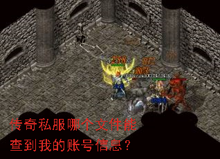 传奇私服哪个文件能查到我的账号信息? 传奇私服哪个文件能查到我的账号信息?