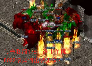 ����˽��176����ʿ����BOSS����γ�װ��λ��