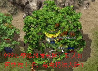 999传奇私服发布网:新人如何快速上手,称霸玛法大陆? 999传奇私服发布网:新人如何快速上手,称霸玛法大陆?