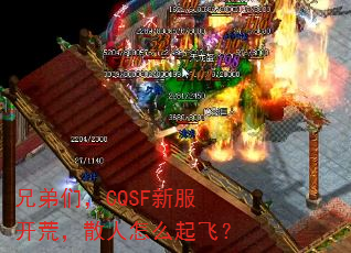 �ֵ��ǣ�CQSF�·����ģ�ɢ����ô��ɣ�