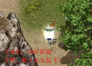 �ֵ��ǣ�CQSF�·����ģ�ɢ����ô��ɣ�