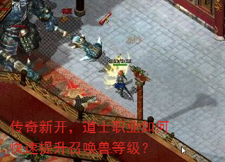 �����¿�����ʿְҵ��ο��������ٻ��޵ȼ���