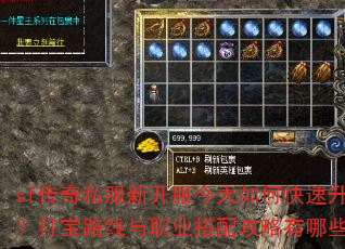 sf传奇私服新开服今天如何快速升级?打宝路线与职业搭配攻略有哪些? sf传奇私服新开服今天如何快速升级?打宝路线与职业搭配攻略有哪些?