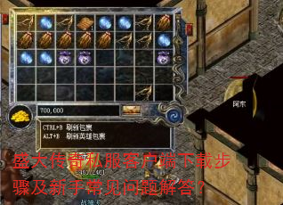 盛大传奇私服客户端下载步骤及新手常见问题解答? 盛大传奇私服客户端下载步骤及新手常见问题解答?