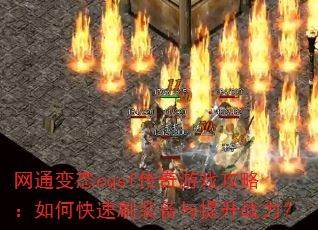 ��ͨ��̬cqsf������Ϸ���ԣ���ο���ˢװ��������ս����