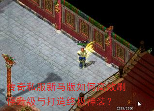 传奇私服新马版如何高效刷怪升级与打造终极神装? 传奇私服新马版如何高效刷怪升级与打造终极神装?