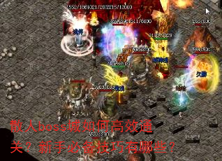 散人boss城如何高效通关?新手必备技巧有哪些? 散人boss城如何高效通关?新手必备技巧有哪些?