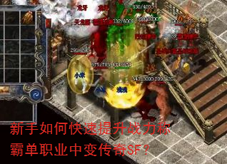 ������ο�������ս���ưԵ�ְҵ�б䴫��SF��