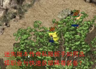 迷失版本传奇私服新手如何选择职业与快速获取稀有装备? 迷失版本传奇私服新手如何选择职业与快速获取稀有装备?