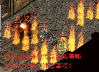 ɢ�˴�����ִ���˽������Щ��Ч������ע�����