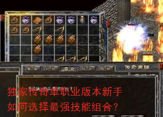 独家传奇单职业版本新手如何选择最强技能组合? 独家传奇单职业版本新手如何选择最强技能组合?