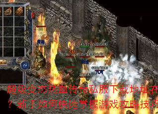 ������̬��Ѫ����˽�����ص�ַ���ģ�������ο���������Ϸ���Լ��ɣ�
