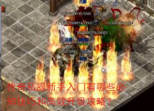 传奇私服新手入门有哪些必知技巧和高效升级攻略? 传奇私服新手入门有哪些必知技巧和高效升级攻略?