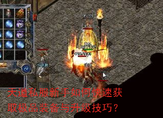 天道私服新手如何快速获取极品装备与升级技巧? 天道私服新手如何快速获取极品装备与升级技巧?