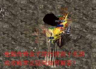 电脑传奇盒子排行榜前十名游戏攻略常见疑问如何解答? 电脑传奇盒子排行榜前十名游戏攻略常见疑问如何解答?