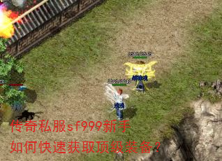 ����˽��sf999������ο��ٻ�ȡ����װ����