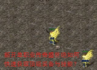 �¿���ְҵ����ʢ������ο��ٻ�ȡ����װ���뼼�ܣ�