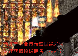 �¿���ְҵ����ʢ������ο��ٻ�ȡ����װ���뼼�ܣ�