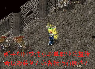 新手如何快速获取单职业公益传奇顶级装备?必备技巧有哪些? 新手如何快速获取单职业公益传奇顶级装备?必备技巧有哪些?