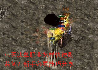 �������ְҵ��������ˢװ�������ֱؿ����ɷ���