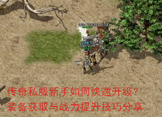 传奇私服新手如何快速升级?装备获取与战力提升技巧分享 传奇私服新手如何快速升级?装备获取与战力提升技巧分享
